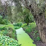 Am Stadtrand Im Gruenen