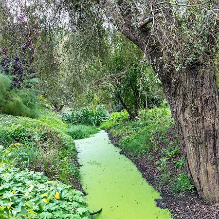 Am Stadtrand Im Gruenen