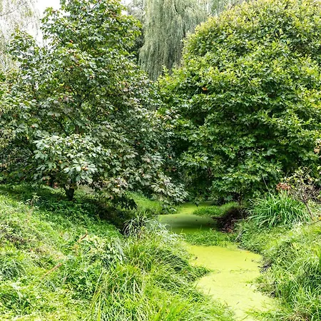 Am Stadtrand Im Gruenen 조이텐