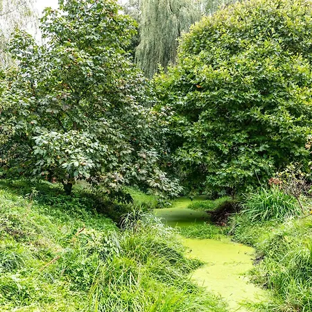 Am Stadtrand Im Gruenen アパート ツォイテン