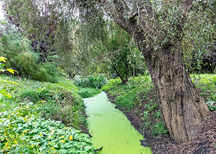 Am Stadtrand Im Grünen