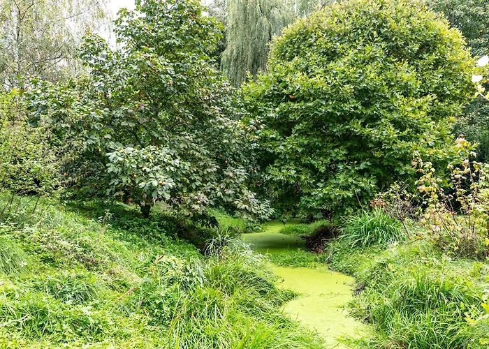 Am Stadtrand Im Grünen Zeuthen